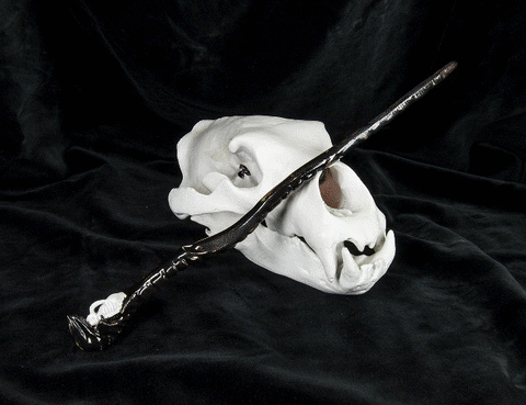 Amycus Carrow’s Wand