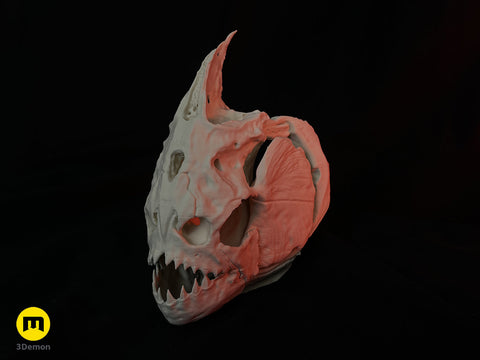 Piranha Skull (Pygocentrus Nattereri)