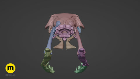 Cobra Snake Skull