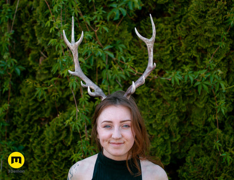 Red Deer antlers