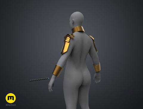 Dora Milaje - Armor and Accesories (Black Panther)