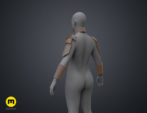 Dora Milaje - Armor and Accesories (Black Panther)