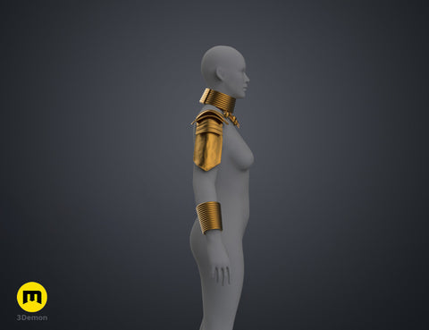 Dora Milaje - Armor and Accesories (Black Panther)