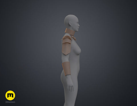 Dora Milaje - Armor and Accesories (Black Panther)