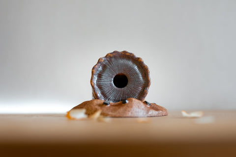 Sandworm Pencil Sharpener - Dune