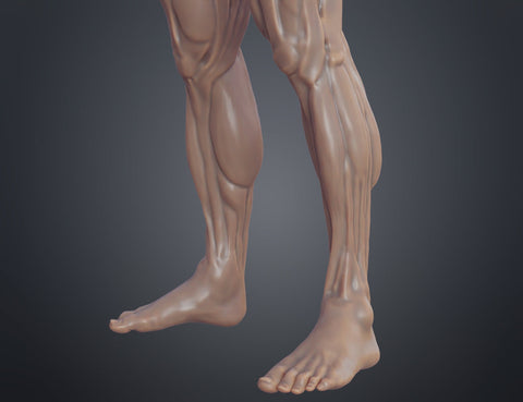 Ecorche for printing