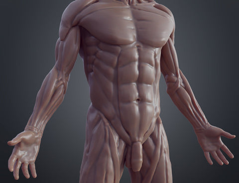 Ecorche for printing