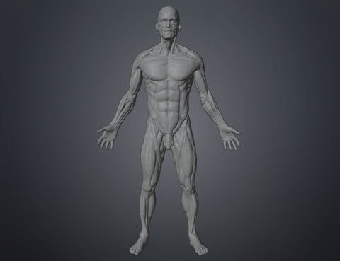 Ecorche for printing
