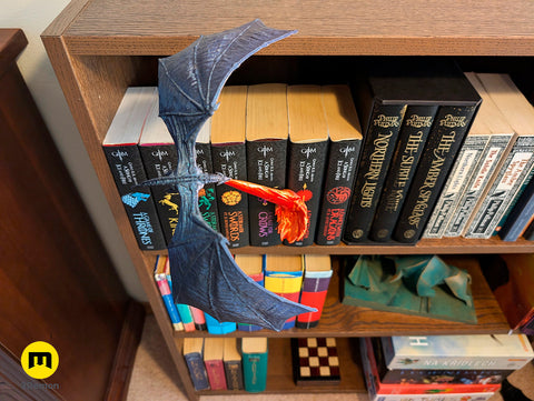 Flying Dragon Book Nook