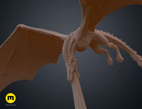 Flying Dragon Book Nook