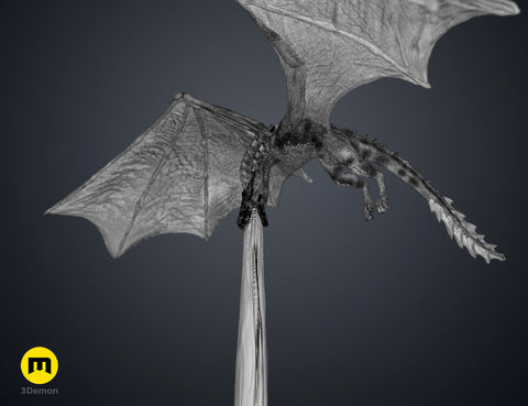 Flying Dragon Book Nook