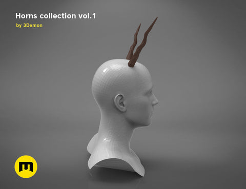 Antelope twisted horns