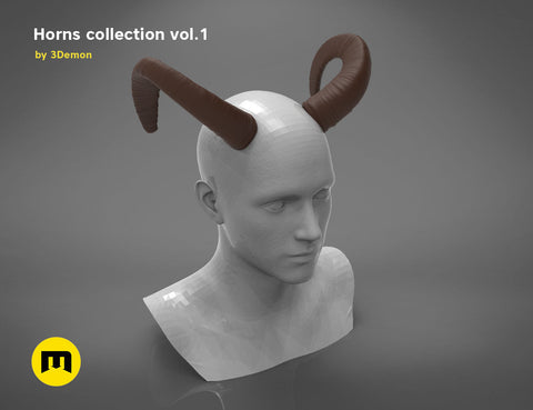 Mouflon horns