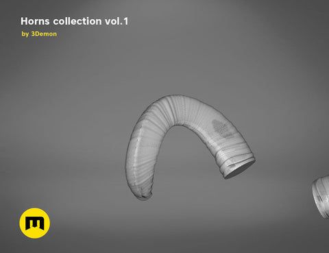 Mouflon horns