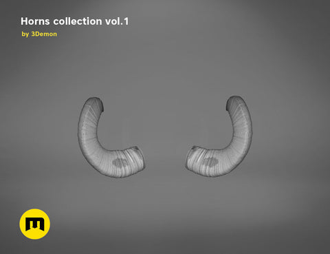 Mouflon horns