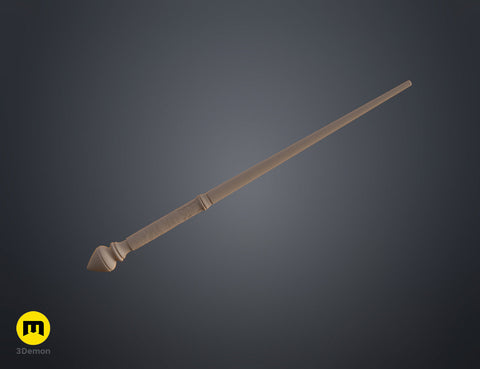 Hermione Granger's 1st wand