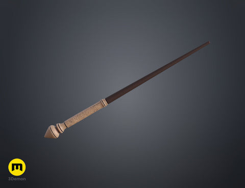 Hermione Granger's 1st wand