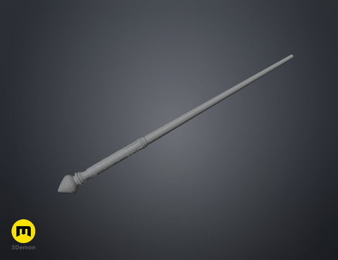 Hermione Granger's 1st wand