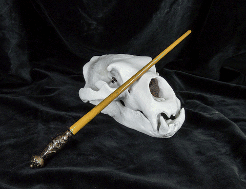 Igor Karkaroff's Wand