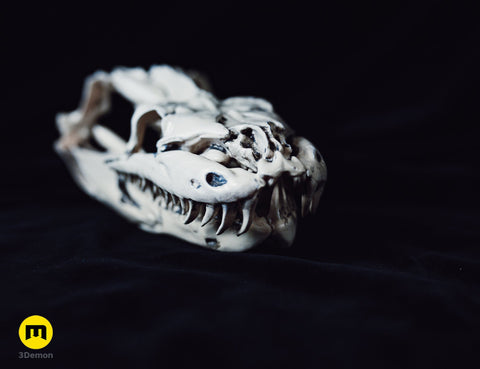 Python Snake Skull