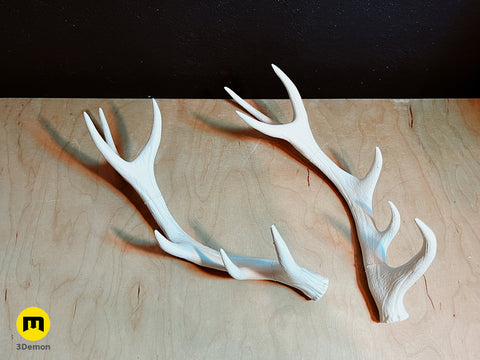 Red Deer antlers