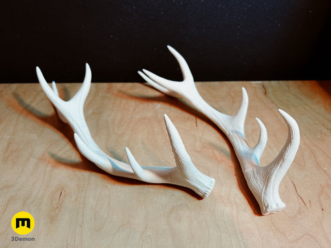Red Deer antlers