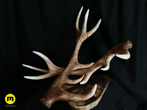 Red Deer antlers