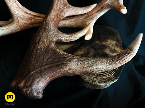 Red Deer antlers