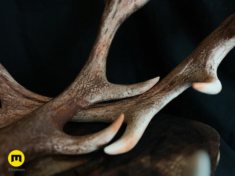 Red Deer antlers