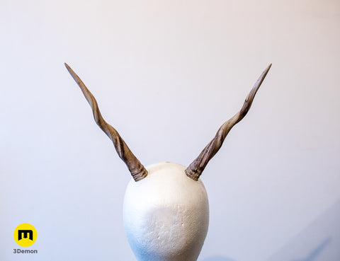 Antelope twisted horns