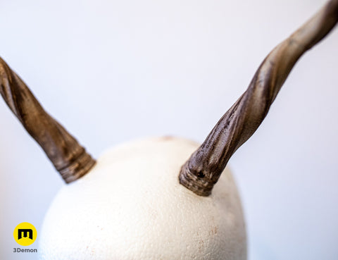 Antelope twisted horns