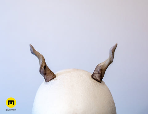 Small antelope horns