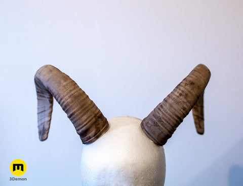 Mouflon horns