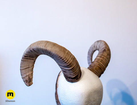 Mouflon horns