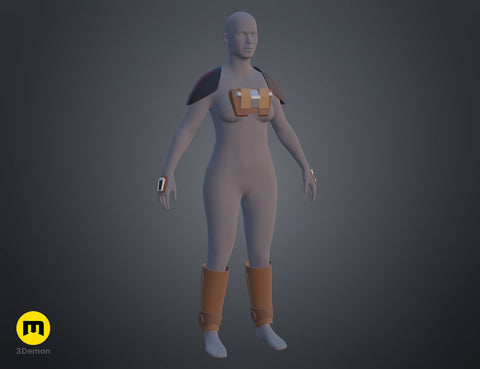 Ketsu Onyo Armor