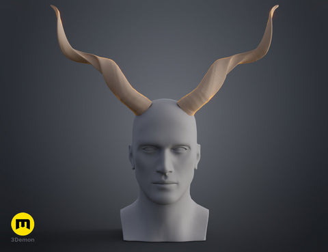 Kudu horns
