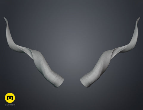 Kudu horns