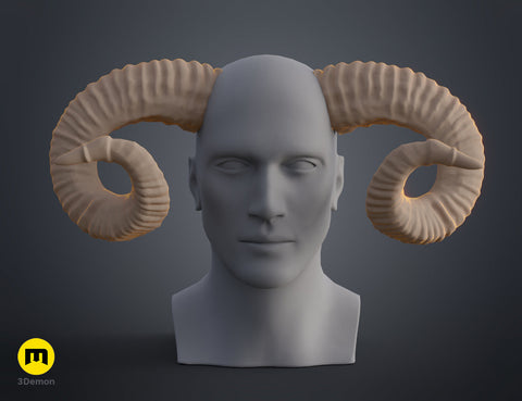 Mountain sheep Horns