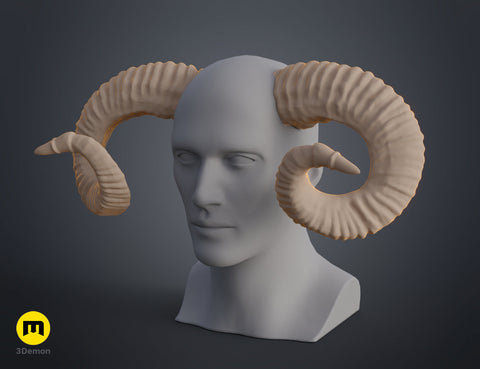 Mountain sheep Horns