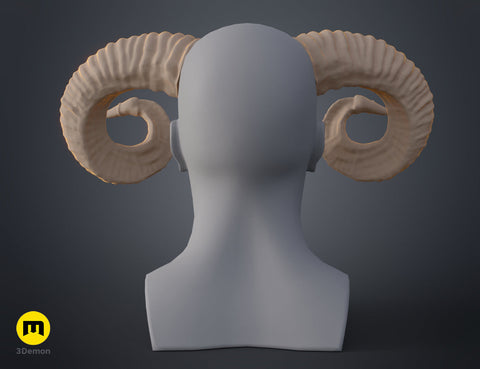 Mountain sheep Horns