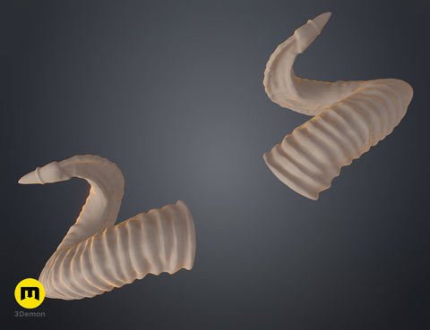 Mountain sheep Horns