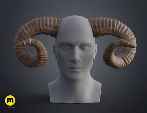 Mountain sheep Horns