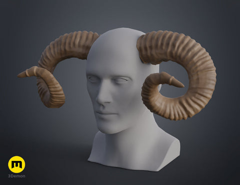 Mountain sheep Horns