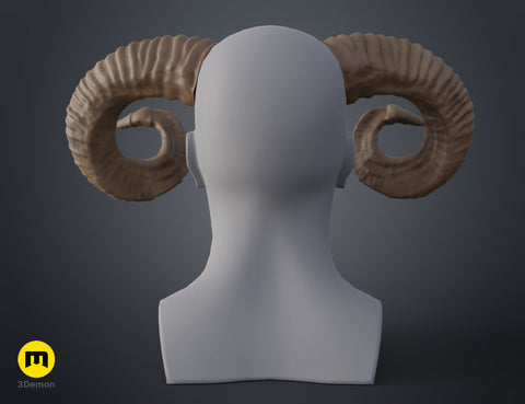 Mountain sheep Horns
