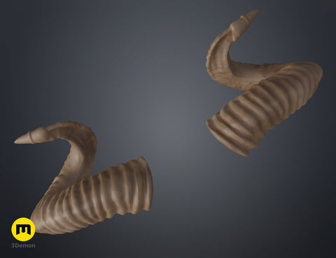 Mountain sheep Horns