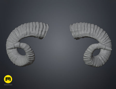 Mountain sheep Horns