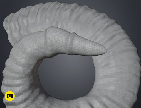 Mountain sheep Horns