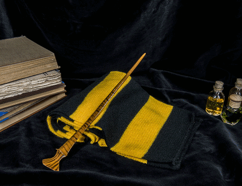 Nymphadora Tonks' Wand