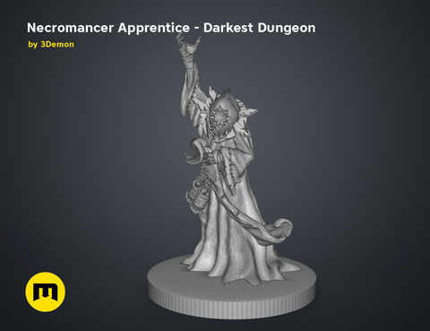 Necromancer Apprentice DnD Figure - Darkest Dungeon