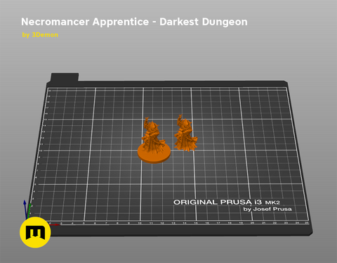 Necromancer Apprentice DnD Figure - Darkest Dungeon